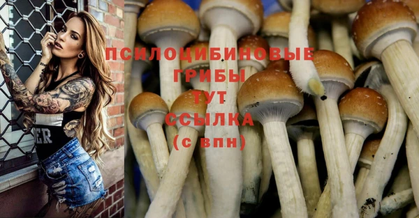 гашишное масло Магас