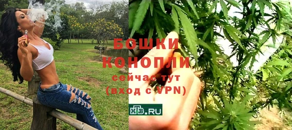 spice Бронницы