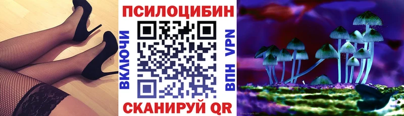 МЕГА tor Венёв Псилоцибиновые грибы MAGIC MUSHROOMS дарнет шоп